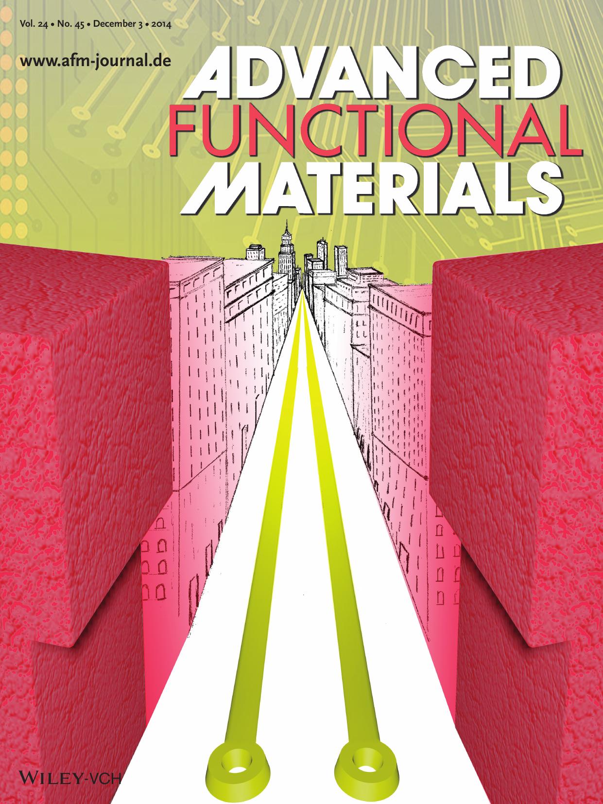 SelfAssembly: Profile Control in Block Copolymer Nanostructures using Bilayer Thin Films for Enhanced Pattern Transfer Processes (Adv. Funct. Mater. 452014) by Unknown