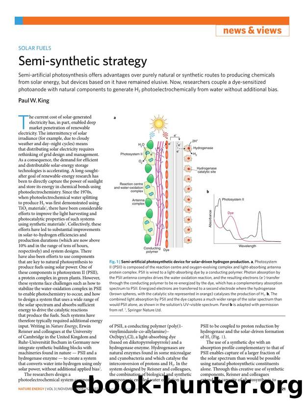 Semi-synthetic strategy by Paul W. King