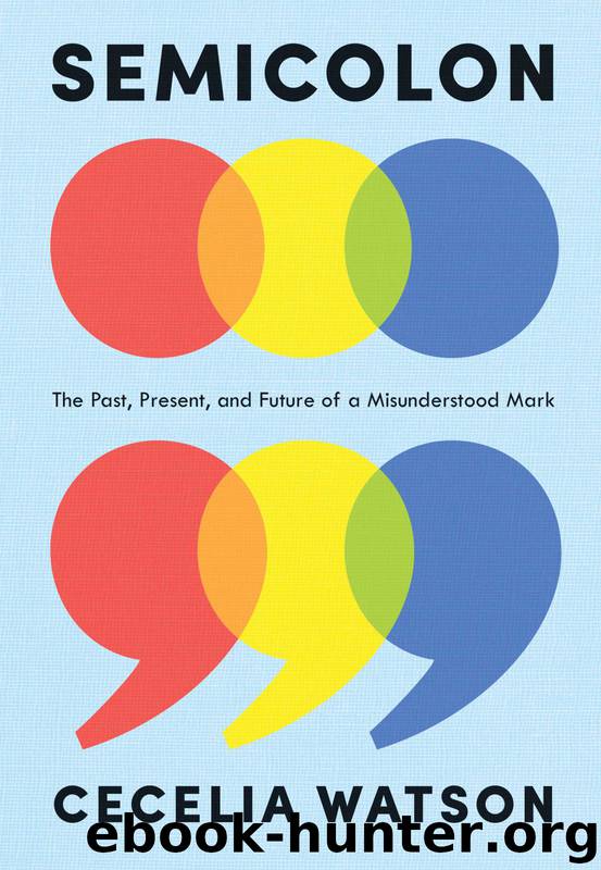 Semicolon: The Past, Present, and Future of a Misunderstood Mark by Cecelia Watson