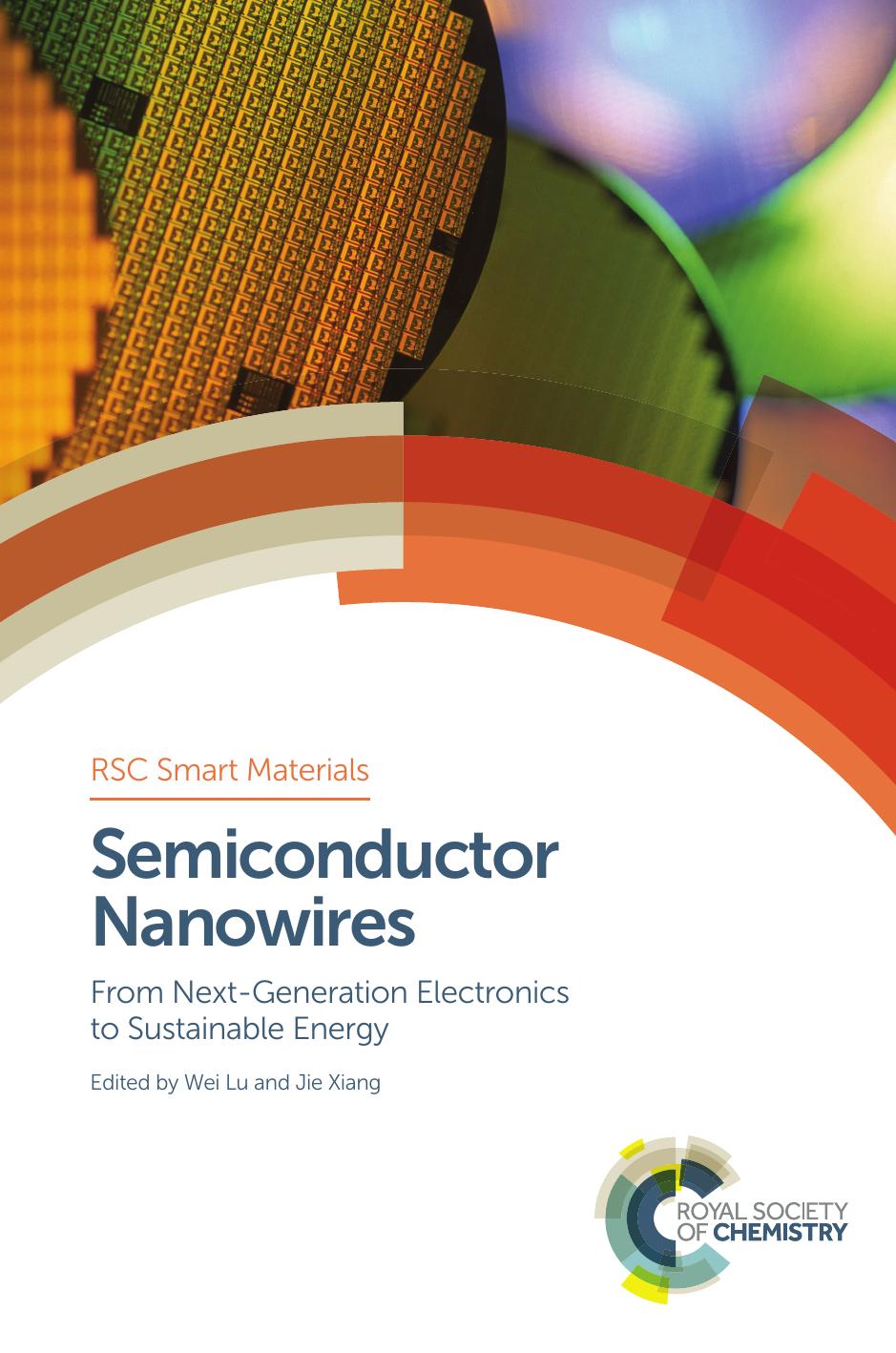 Semiconductor Nanowires: From Next-Generation Electronics to Sustainable Ene by Unknow