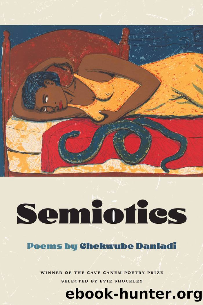 Semiotics by Chekwube Danladi