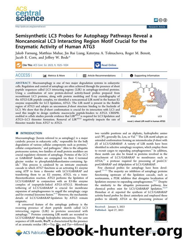 Semisynthetic LC3 Probes for Autophagy Pathways Reveal a Noncanonical LC3 Interacting Region Motif Crucial for the Enzymatic Activity of Human ATG3 by unknow