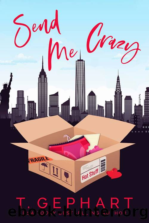 Send Me Crazy by T. Gephart
