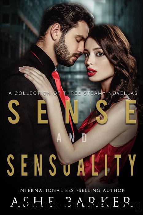 Sense and Sensuality by Ashe Barker