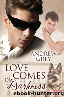 Senses 02 - Love Comes in Darkness by Andrew Grey