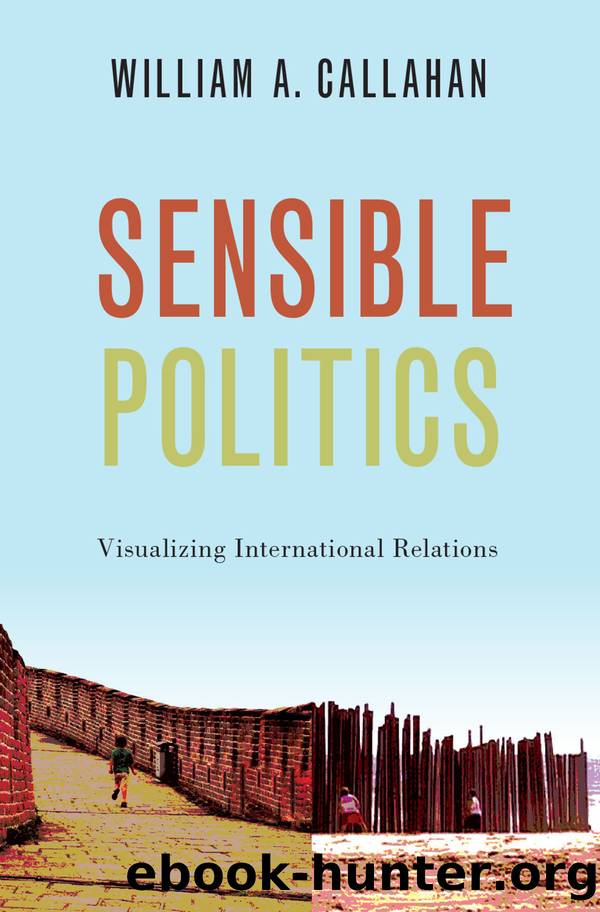 Sensible Politics by William A. Callahan
