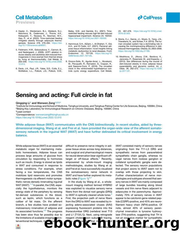 Sensing and acting: Full circle in fat by Qingqing Li & Wenwen Zeng