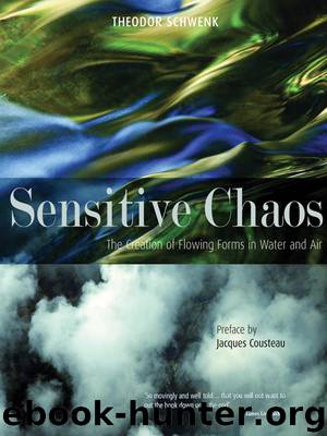 Sensitive Chaos by Theodor Schwenk