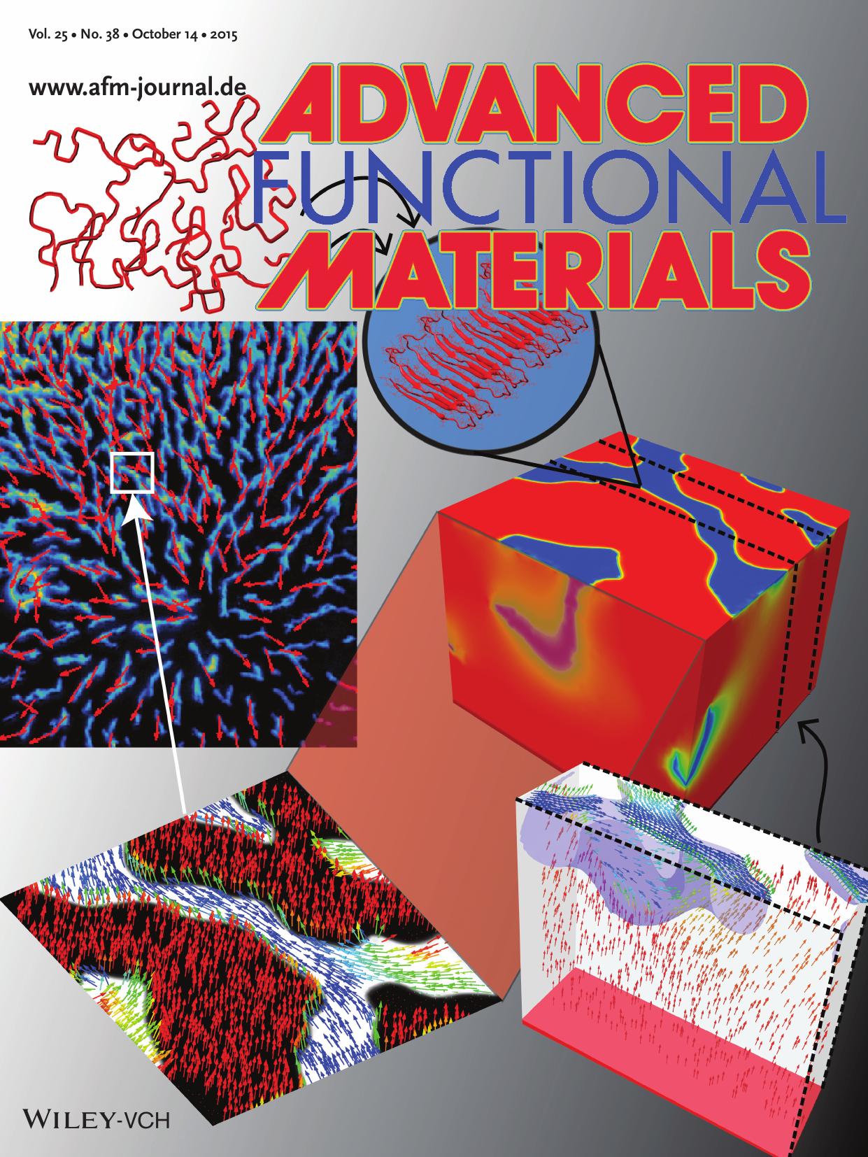 Sensors: Liquid Crystal Enabled Early Stage Detection of Beta Amyloid Formation on Lipid Monolayers (Adv. Funct. Mater. 38/2015) by Unknown