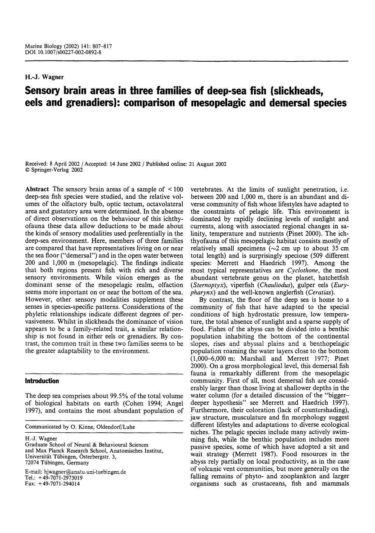 Sensory brain areas in three families of deep-sea fish (slickheads, eels and grenadiers): comparison of mesopelagic and demersal species by Unknown