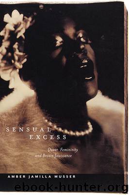 Sensual Excess by Amber Jamilla Musser