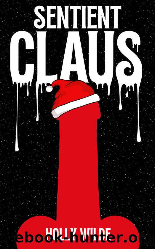 Sentient Claus: A Christmas Holiday Sentient Object Romance by Holly Wilde