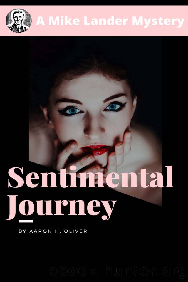 Sentimental Journey: A Mike Lander Mystery by Aaron H Oliver