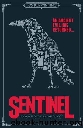 Sentinel by Joshua Winning