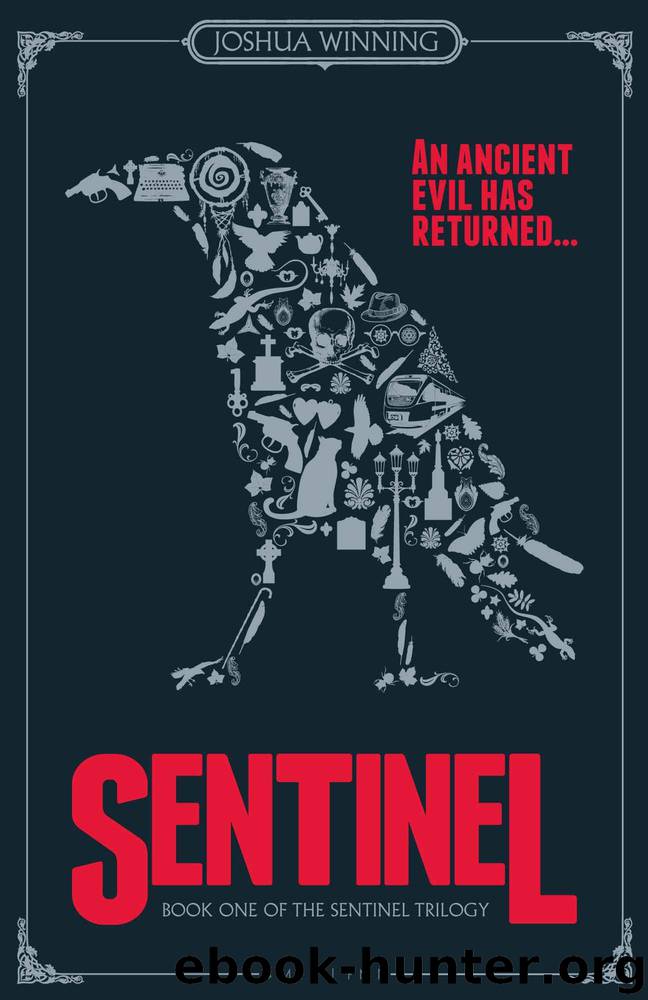 Sentinel: Book One of The Sentinel Trilogy by Winning Joshua