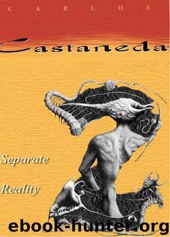 Separate Reality by Carlos Castaneda