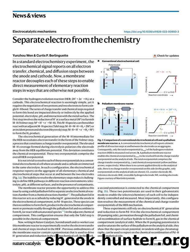 Separate electro from the chemistry by Yunzhou Wen & Curtis P. Berlinguette
