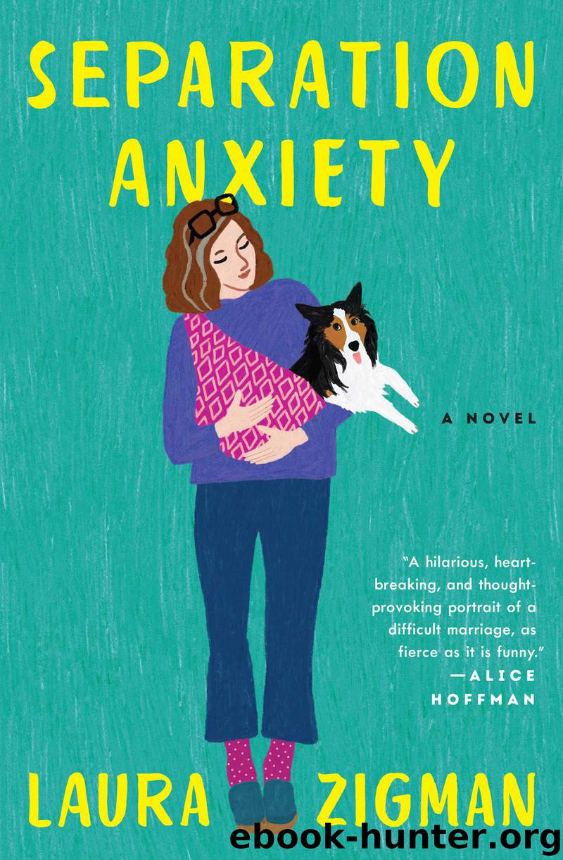 Separation Anxiety by Laura Zigman