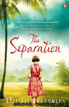 Separation, The by Jefferies Dinah