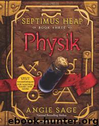 Septimus Heap (3) Physik by Angie Sage