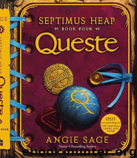 Septimus Heap (4) Queste by Angie Sage