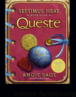 Septimus Heap 04 - Queste by Sage Angie