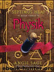 Septimus Heap 3 - Physik by Sage Angie