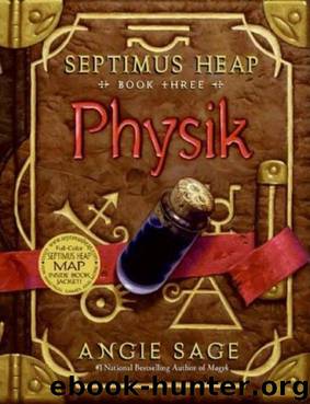Septimus Heap Book 03 Physik by Angie Sage