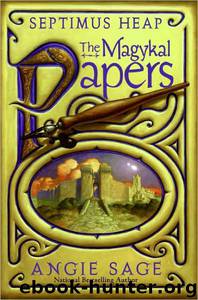 Septimus Heap by Angie Sage