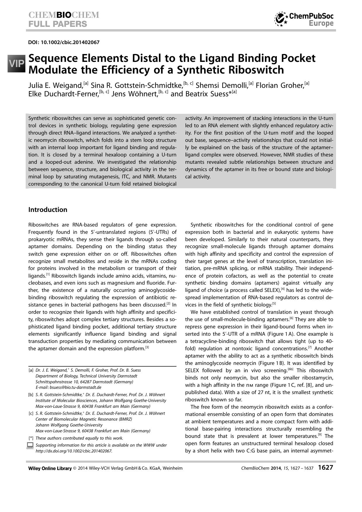 Sequence Elements Distal to the Ligand Binding Pocket Modulate the Efficiency of a Synthetic Riboswitch by Unknown