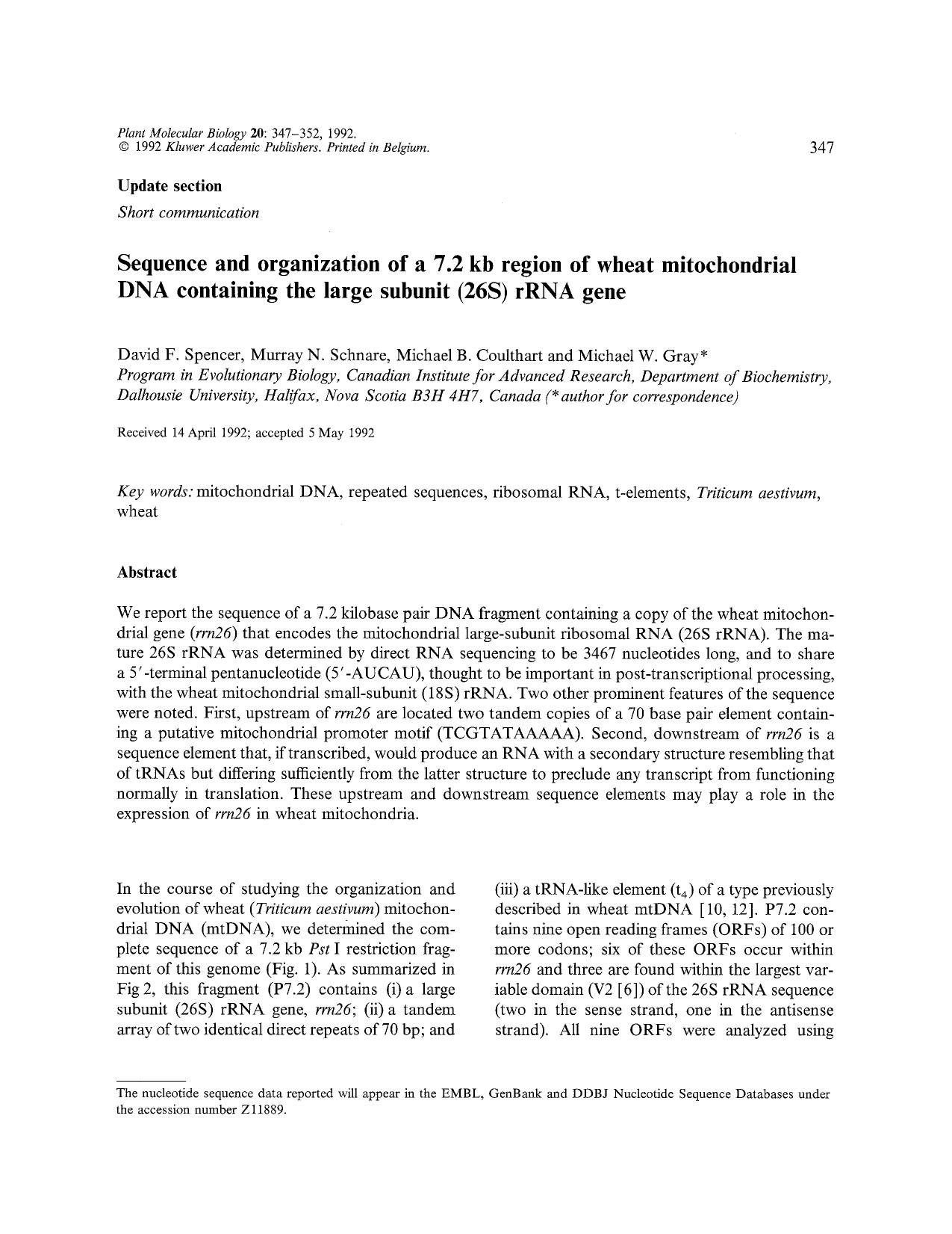 Sequence and organization of a 7.2 kb region of wheat mitochondrial DNA containing the large subunit (26S) rRNA gene by Unknown
