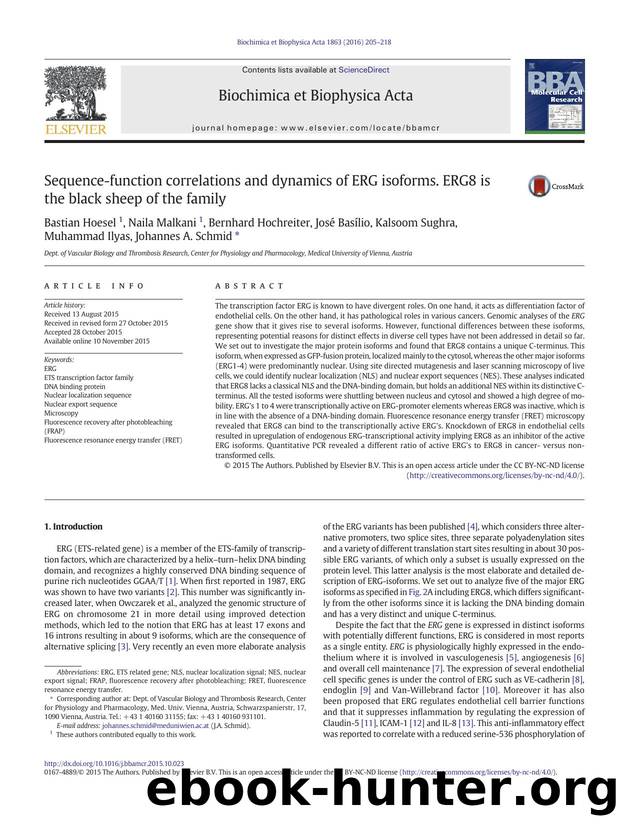 Sequence-function correlations and dynamics of ERG isoforms. ERG8 is the black sheep of the family by unknow