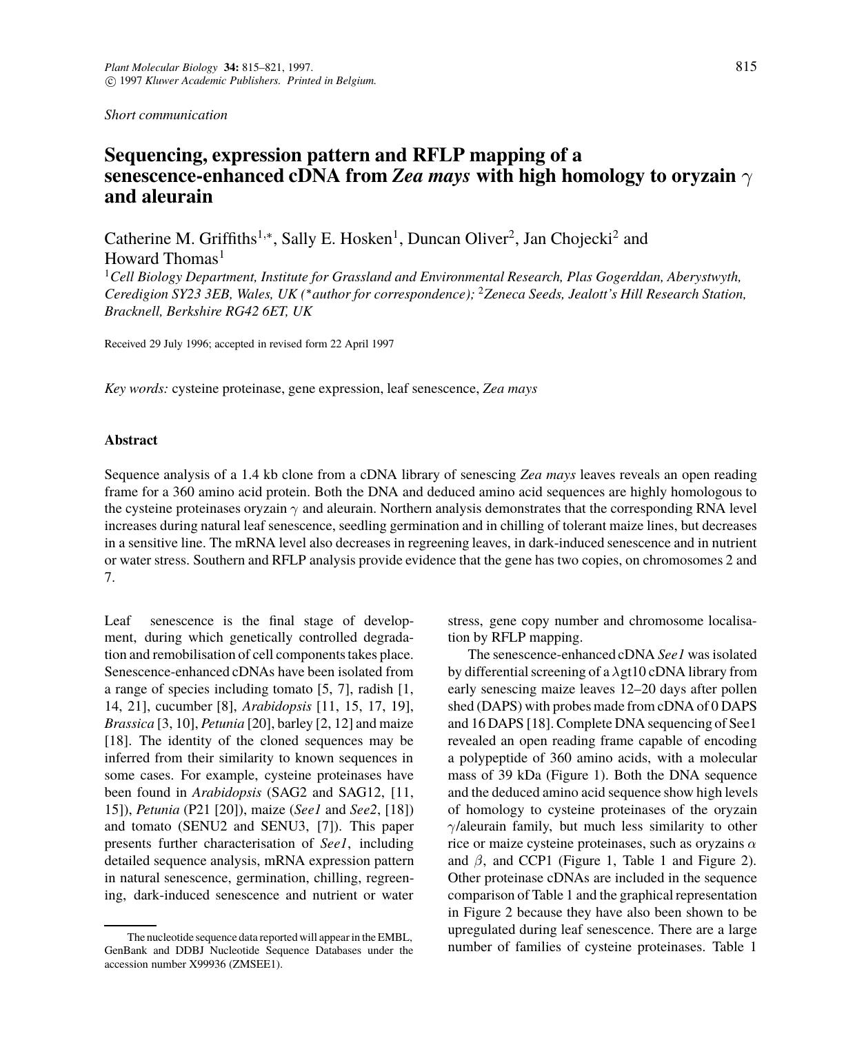 Sequencing, expression pattern and RFLP mapping of a senescence-enhanced cDNA from Zea mays with high homology to oryzain γ and aleurain by Unknown
