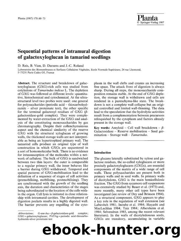 Sequential patterns of intramural digestion of galactoxyloglucan in tamarind seedlings by Unknown