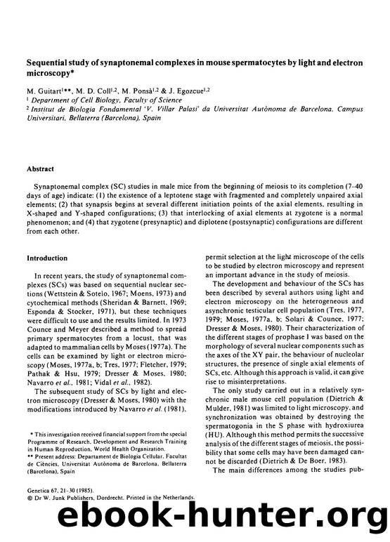 Sequential study of synaptonemal complexes in mouse spermatocytes by light and electron microscopy by Unknown