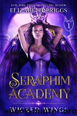 Seraphim Academy 1: Wicked Wings by Elizabeth Briggs