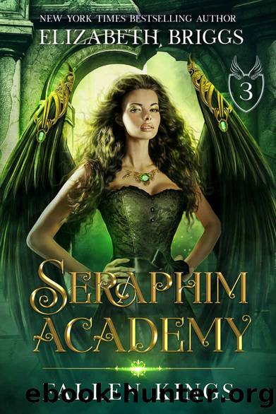 Seraphim Academy 3: Fallen Kings by Briggs Elizabeth