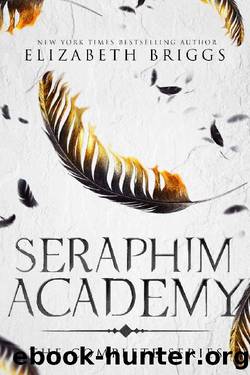 Seraphim Academy: The Complete Series by Elizabeth Briggs