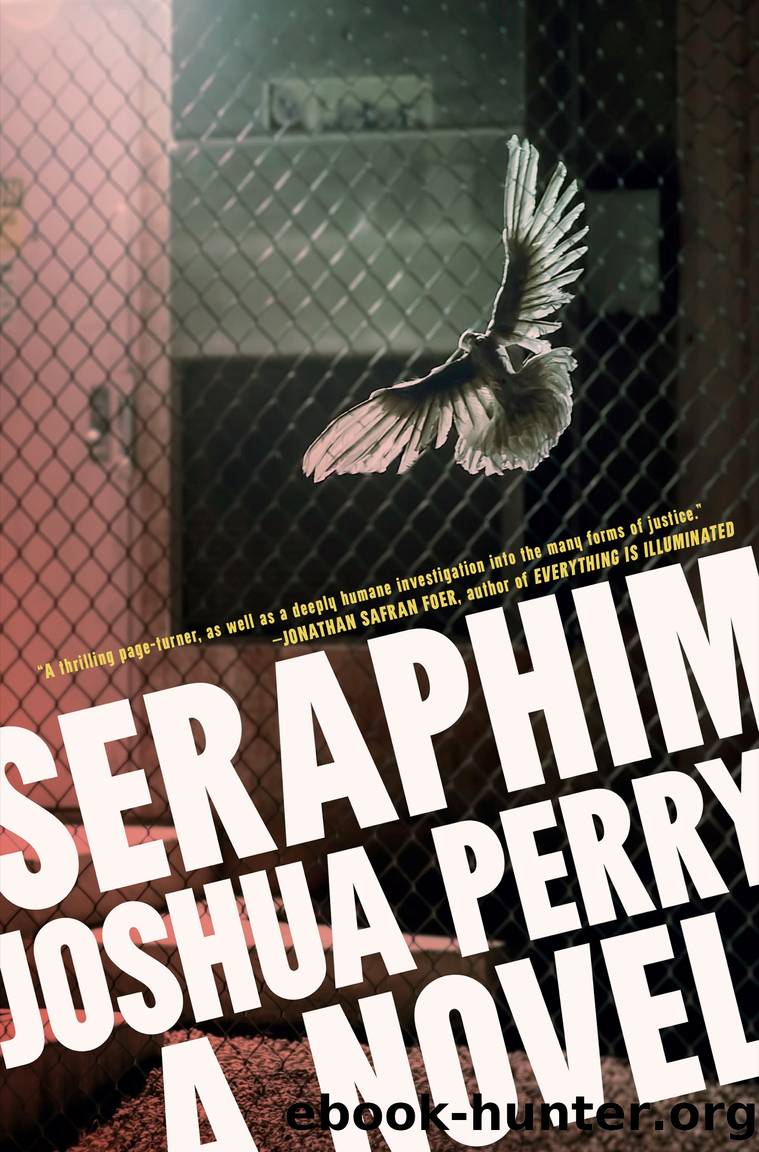 Seraphim by Joshua Perry