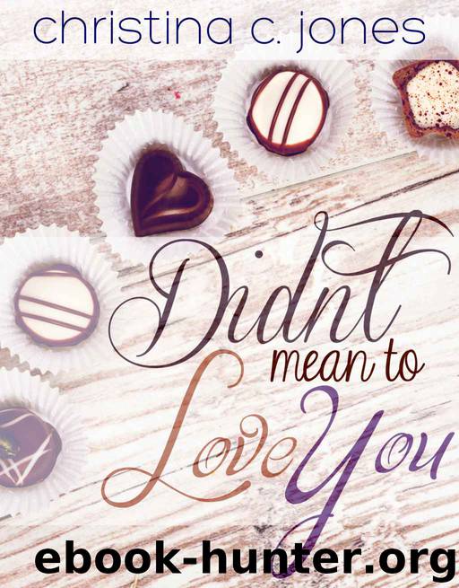 Serendipitous Love 2: Didn't Mean to Love You by Christina C Jones