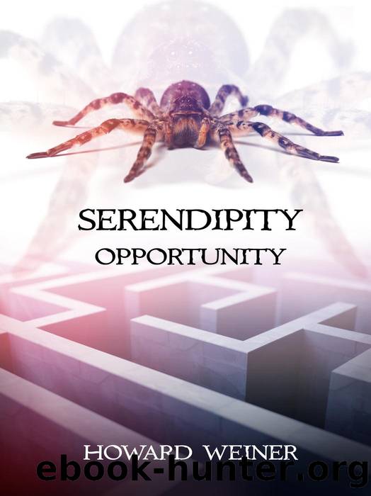 Serendipity Opportunity by Howard Weiner