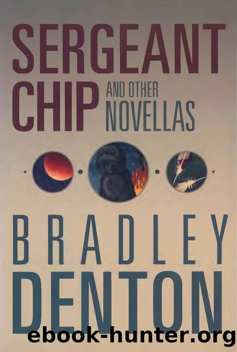 Sergeant Chip and Other Novellas (2014) by Bradley Denton