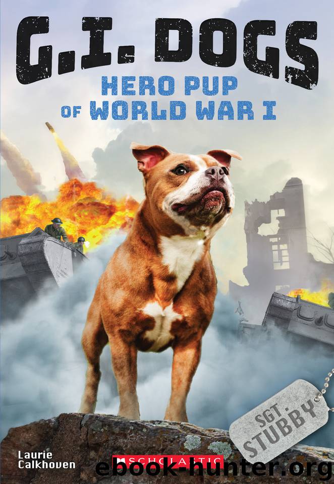 Sergeant Stubby, Hero Pup of World War I by Laurie Calkhoven