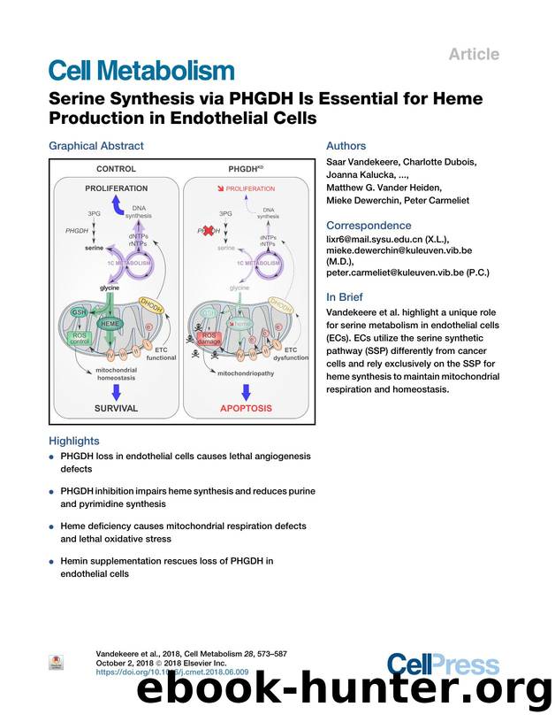 Serine Synthesis via PHGDH Is Essential for Heme Production in Endothelial Cells by unknow