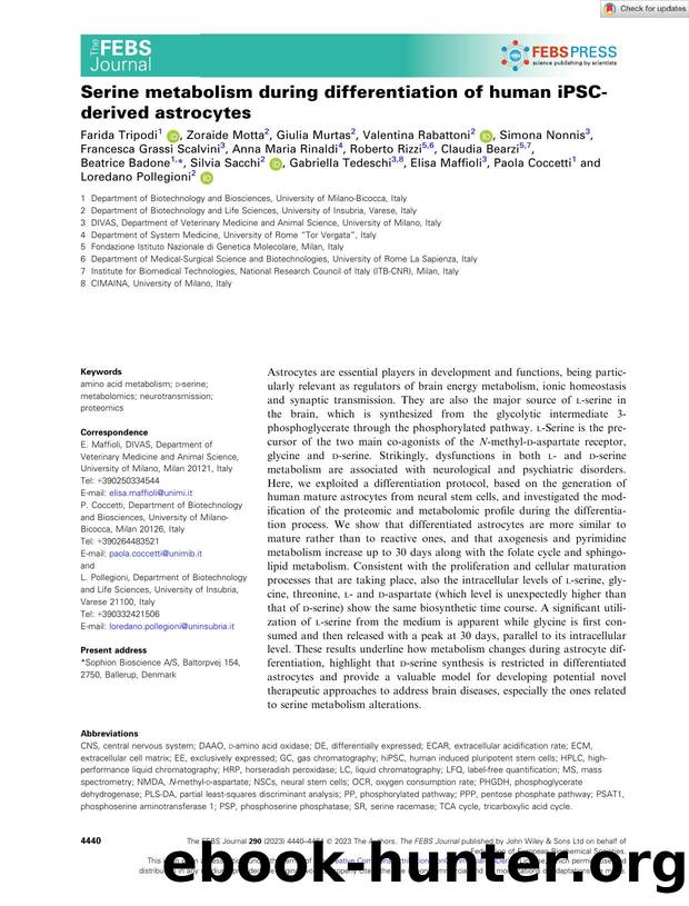 Serine metabolism during differentiation of human iPSCâderived astrocytes by Unknown