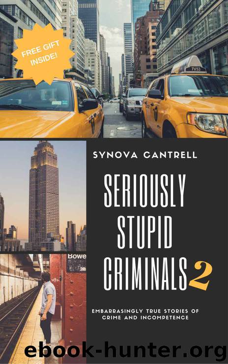 Seriously Stupid Criminals 2 by Synova Cantrell