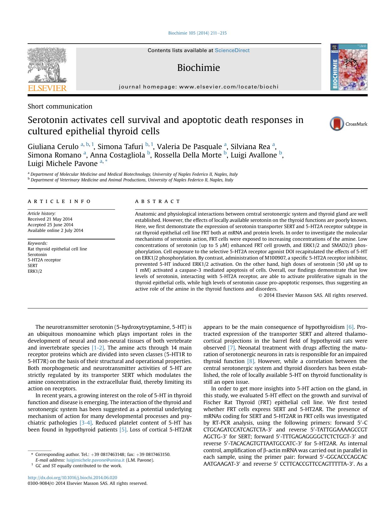 Serotonin activates cell survival and apoptotic death responses in cultured epithelial thyroid cells by unknow