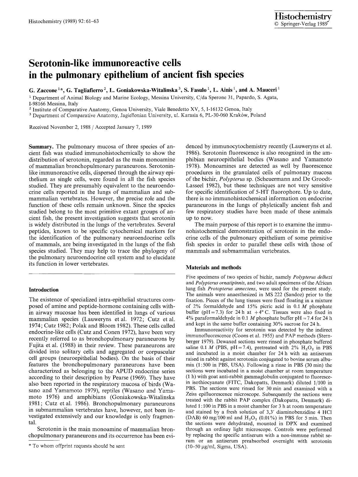 Serotonin-like immunoreactive cells in the pulmonary epithelium of ancient fish species by Unknown
