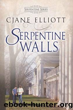 Serpentine Walls by CJane Elliott