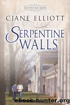 Serpentine Walls by Cjane Elliott